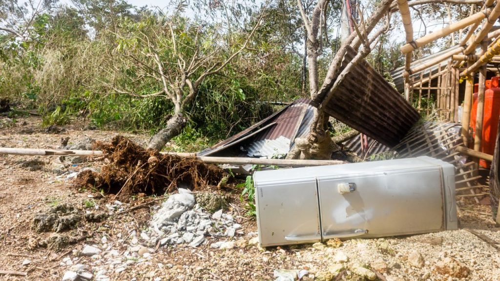 yard cleanup service in Syracuse New York - Syracuse Junk Squad